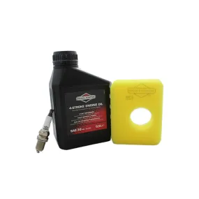 Kit entretien moteur Briggs et Stratton filtre jaune - 992231